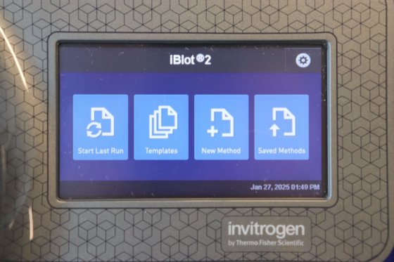 インビトロジェン iBlot 2