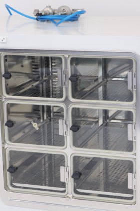 ケンドロサイトパーム 2 CO2