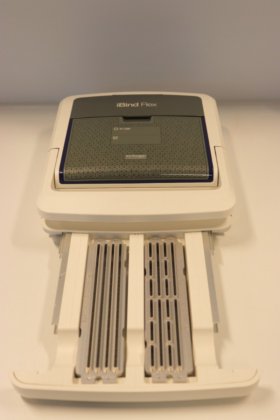 生命技术公司 iBind Flex Western