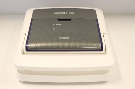 生命技术公司 iBind Flex Western