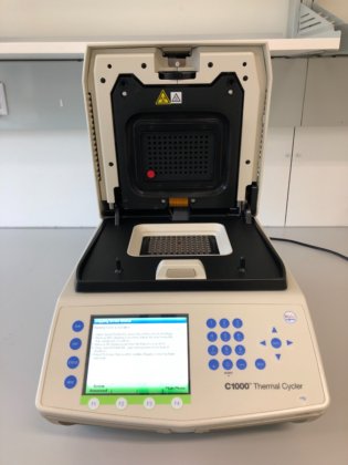 2020 BioRad CFX96