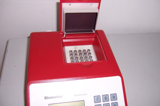 Biometra Personal Cycler