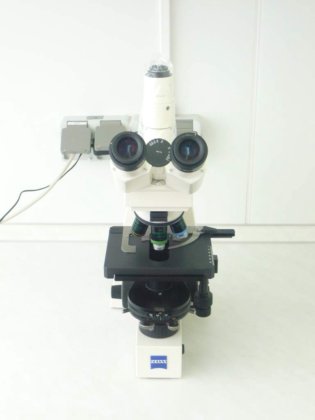 Zeiss Axiolab E