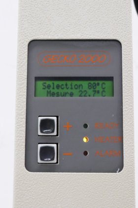 GECKO 2000