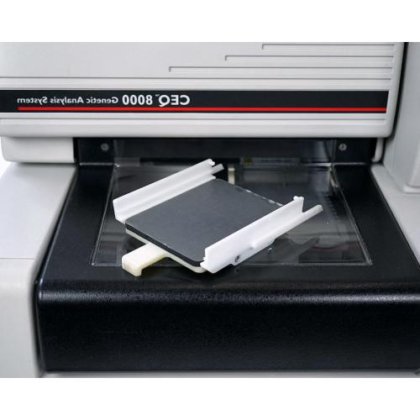 贝克曼库尔特CEQ8000基因分析仪