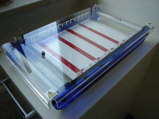 ブランド Maxi Plus