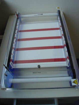 ブランド Maxi Plus