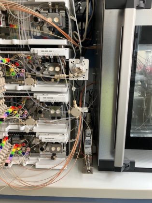 クナウアー アズラ