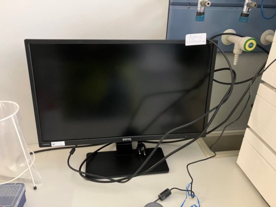 クナウアー アズラ