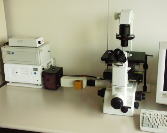 Intracellular InCyt Im2