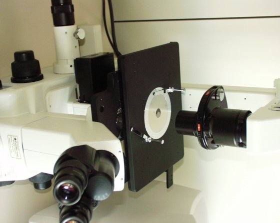 Intracellular InCyt Im2