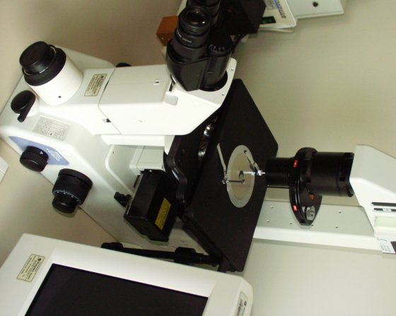 Intracellular InCyt Im2