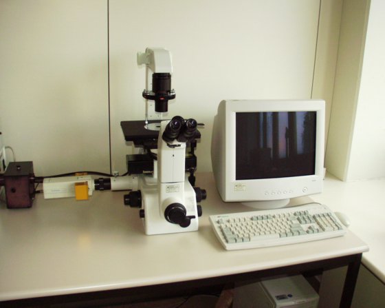 Intracellular InCyt Im2