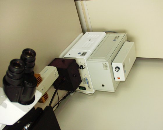 Intracellular InCyt Im2