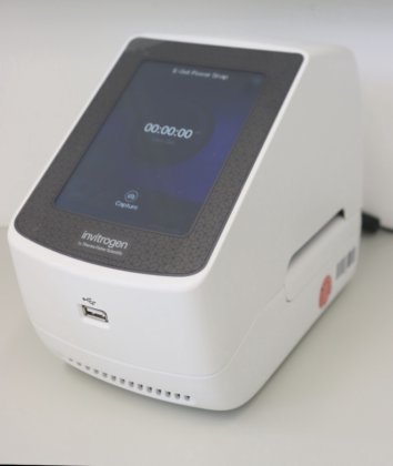 2019 Invitrogen E-Gel Power Snap