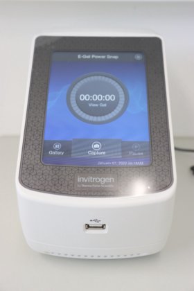 2019 Invitrogen E-Gel Power Snap