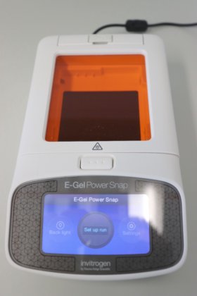 2019 Invitrogen E-Gel Power Snap