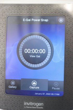 2019 インビトロジェン E-Gel パワースナップ