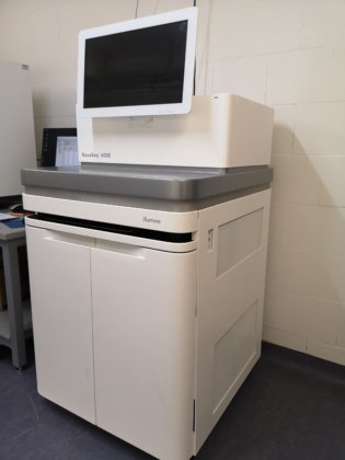 イルミナ NovaSeq 6000