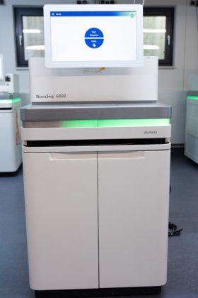 イルミナ NovaSeq 6000
