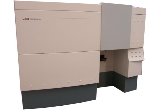 Becton Dickinson FACSCalibur