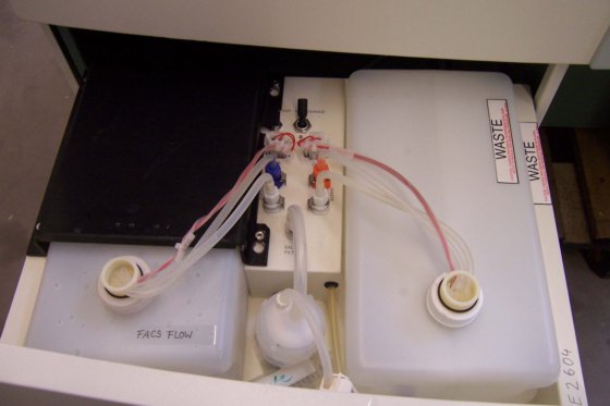 Becton Dickinson FACSCalibur