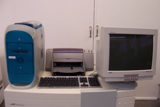Becton Dickinson FACSCalibur