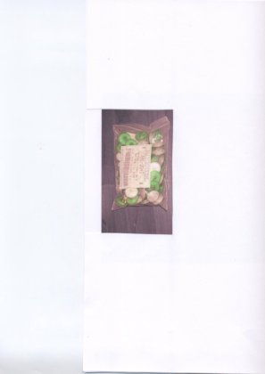 X スプリッツェン filter