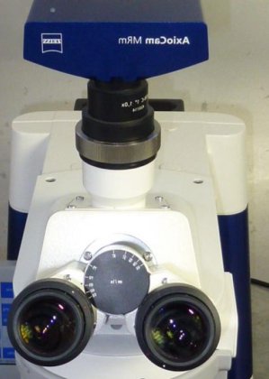 蔡司 Axio Imager M1 配备