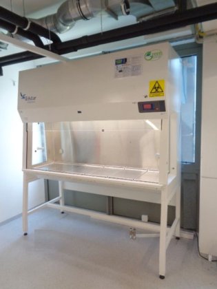 2020年式テルスター・バイオプティマ6