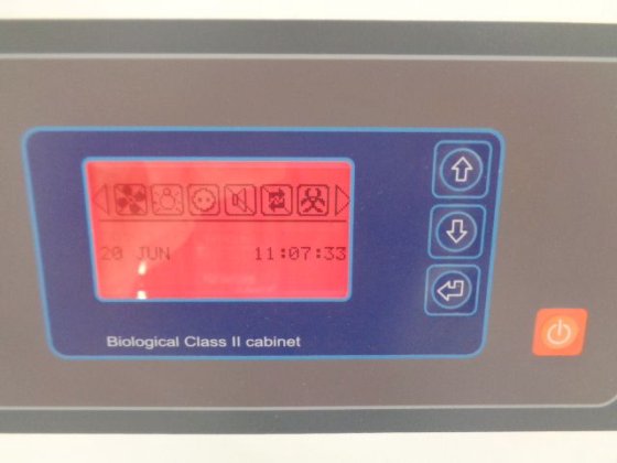 2020年式テルスター・バイオプティマ6