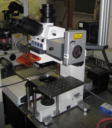 Nikon Eclipse E600 FN