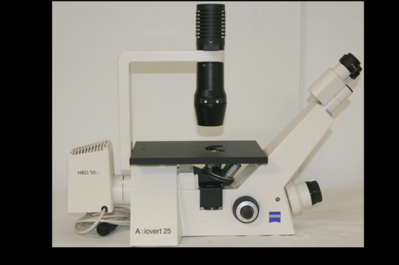 Zeiss Axiovert 40C