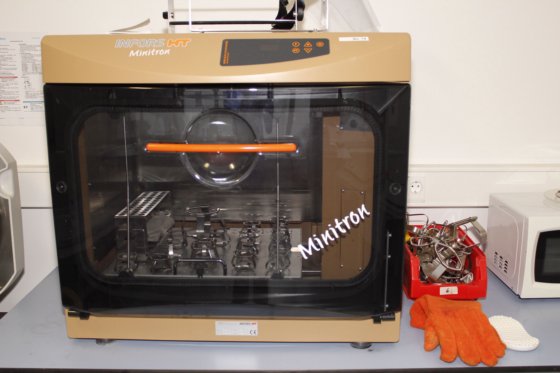 Infors Minitron