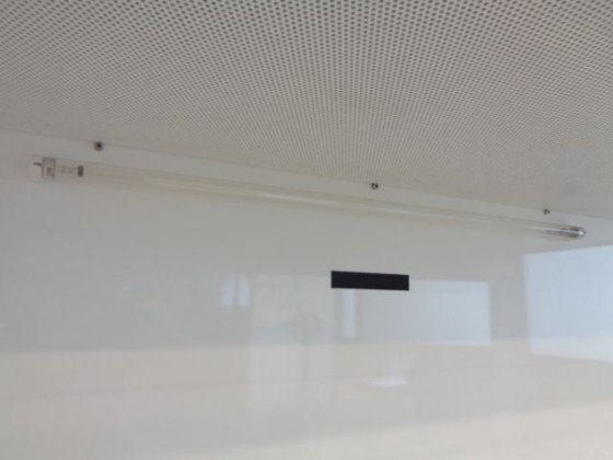 2020年式アルピナ BIO 190