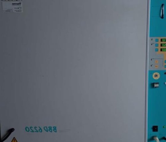 Heraeus Kendro. BBD 6220.