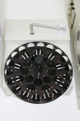 Elementar 高 TOC II