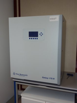 ニューブランズウィック ギャラクシー