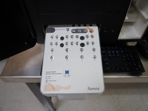 2019 イルミナ NextSeq 550