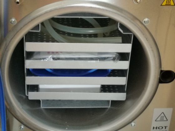 2019 プラクシス アスコクラヴ 46B