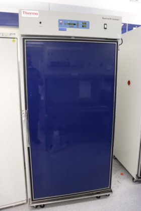 サーモサイエンティフィックリーチイン