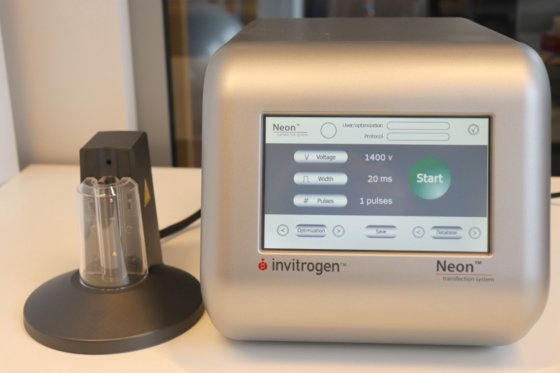 Invitrogen Neon 转染系统