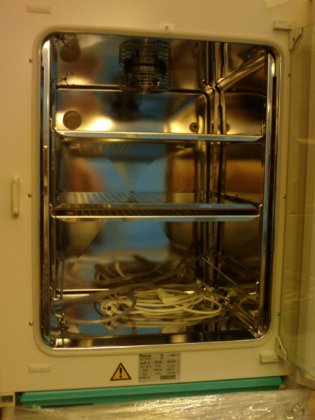 Thermo Heracell 150