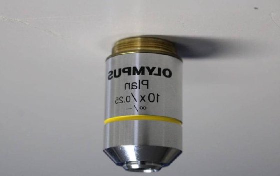 奥林巴斯BX41TF透射光荧光显微镜