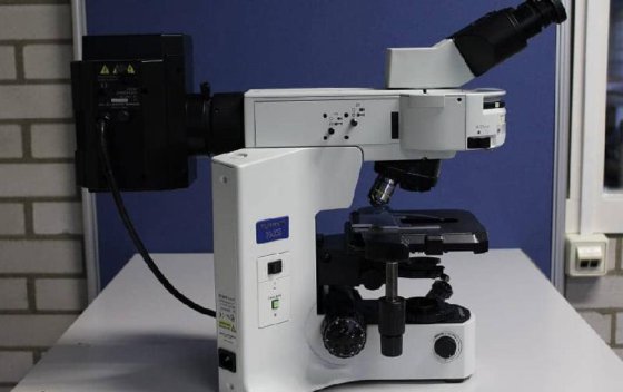 奥林巴斯BX41TF透射光荧光显微镜