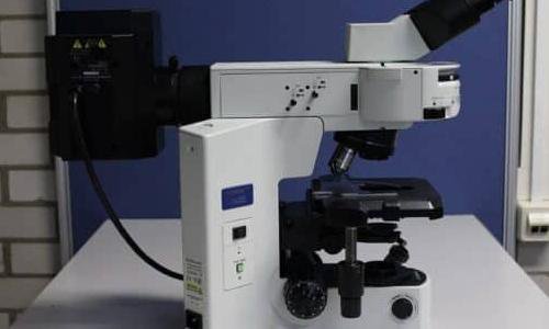 奥林巴斯BX41TF透射光荧光显微镜