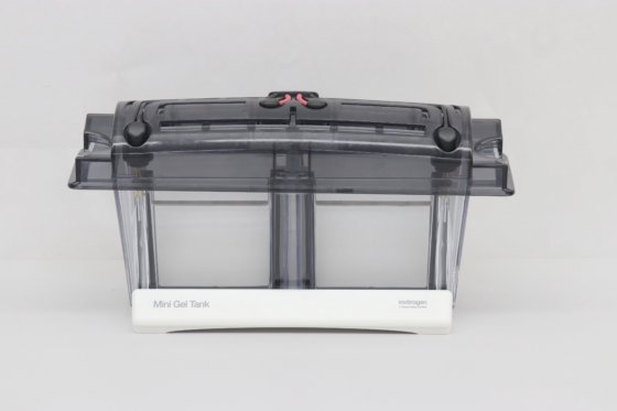 Invitrogen 小型凝胶电泳槽