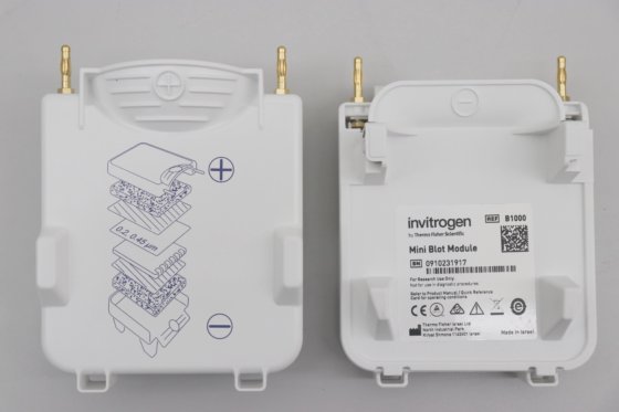 Invitrogen 小型凝胶电泳槽
