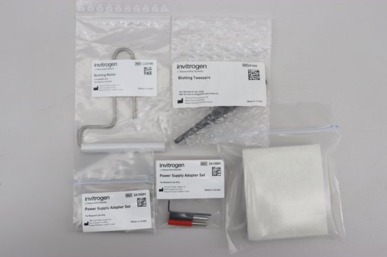 Invitrogen 小型凝胶电泳槽