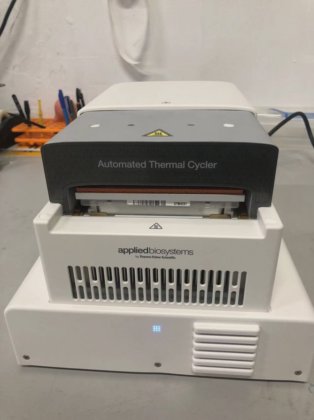 Applied Biosystems™ Automated Thermal Cycler